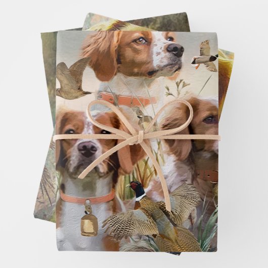 Brittany Spaniel , Leidenschaft für Vögel Geschenkpapier Set (Beispiel)