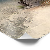 Brittany Spaniel , Leidenschaft für Vögel Poster (Ecke)