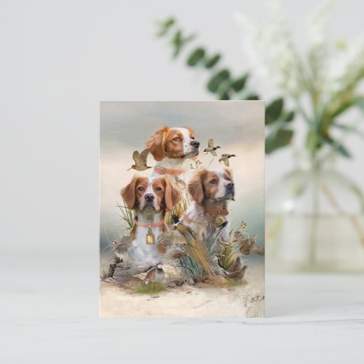 Brittany Spaniel , Leidenschaft für Vögel Postkarte (Stehend Vorderseite)