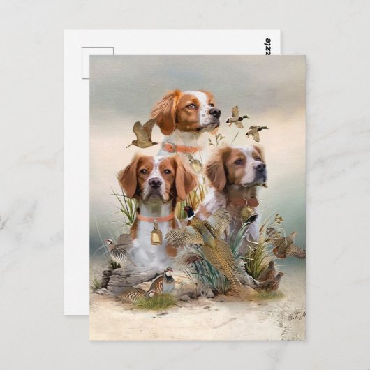 Brittany Spaniel , Leidenschaft für Vögel Postkarte (Vorne/Hinten)