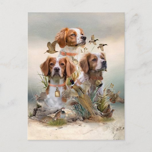 Brittany Spaniel , Leidenschaft für Vögel Postkarte (Vorderseite)