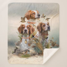 Brittany Spaniel , Leidenschaft für Vögel