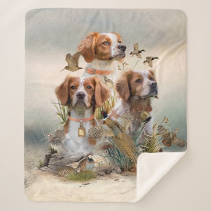 Brittany Spaniel , Leidenschaft für Vögel Sherpadecke