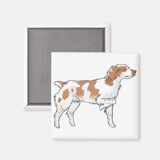 Brittany Spaniel Magnet (Vorderseite/Rückseite)