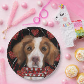 Brittany Spaniel Pappteller (Party)