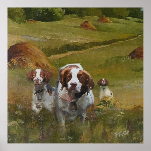 Brittany Spaniel Poster (Vorne)