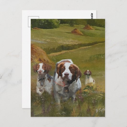 Brittany Spaniel Postkarte (Vorne/Hinten)