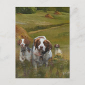Brittany Spaniel Postkarte (Vorderseite)