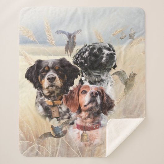 Brittany Spaniel Sherpadecke (Vorderseite)