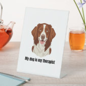 Brittany Spaniel Sockelschild (In Situ)