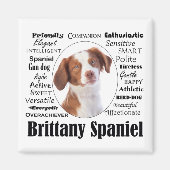 Brittany Spaniel Traits Magnet (Vorne)