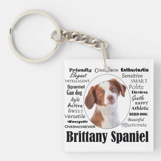 Brittany Spaniel Traits Schlüsselanhänger (Vorderseite)