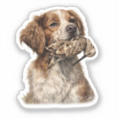 Brittany Spaniel & Waldschnepfenjagd Aufkleber (Vorderseite)