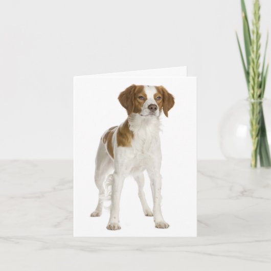 Brittany Spaniel Welpe Doppy Blank Note Card Karte (Vorderseite)