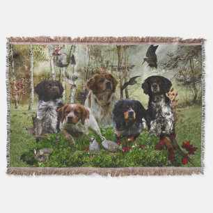 Brittany Spaniels,   Vogeljagd    Decke