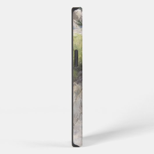 Brittany Spanisch Jagdchukar-Partridge, Art iPhone Hülle (Rechte Seite)