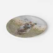 Brittany Spanische Jagdquail , Art Pappteller (Schrägansicht)