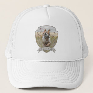 Brittany Spanische Jagdquail , Art Truckerkappe