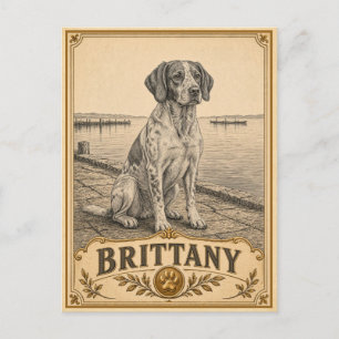 Brittany, Vintage-Heritage-Hund Postkarte