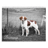 Brittanys Kalender (Titelbild)