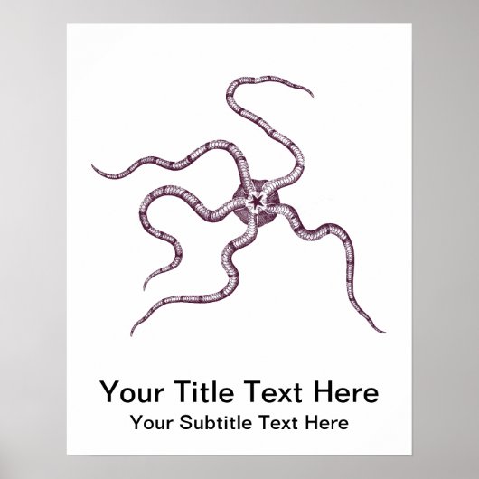 Brittle Star - Serpent Star - Meeresbiologie Poster (Vorne)