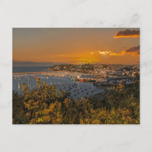 Brixham Harbour at Sunset Postkarte