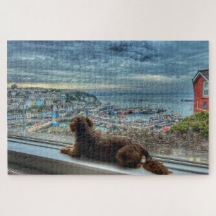 Brixham Regen: Gemütlicher Hafenblick & Hunde Freu Puzzle