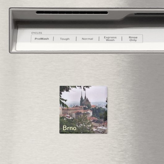 Brno-Magnet Magnet (In Situ (Geschirrspüler))