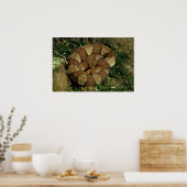 broad-banded copperhead poster print (Küche)
