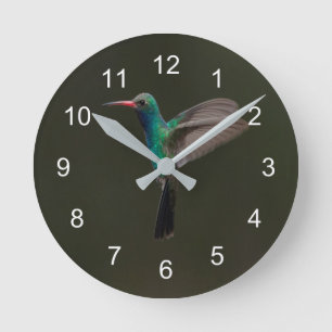 Broad-Billed Hummingbird in flight Runde Wanduhr