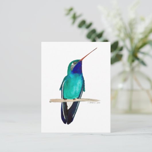 Broad-billed Hummingbird Postkarte (Stehend Vorderseite)