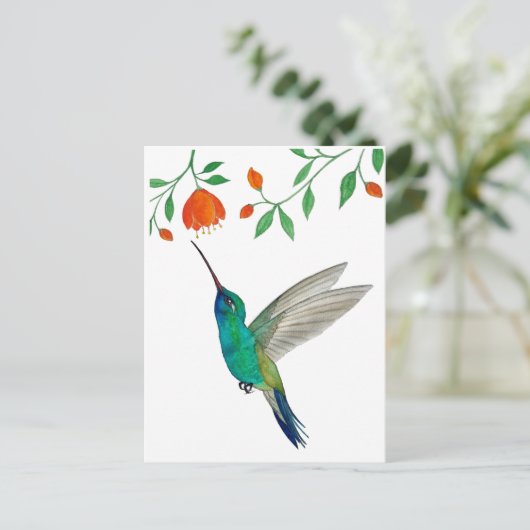 Broad-billed Hummingbird Postkarte (Stehend Vorderseite)