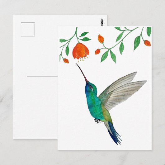 Broad-billed Hummingbird Postkarte (Vorne/Hinten)