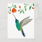 Broad-billed Hummingbird Postkarte (Vorderseite)