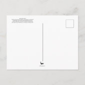 Broad Head Skink Postcard Postkarte (Rückseite)