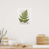 Broad Prickly-zahner Buckler Fern, bemalt in Bra Poster (Küche)