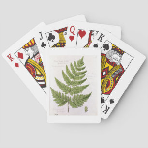Broad Prickly-zahner Buckler Fern, bemalt in Bra Spielkarten