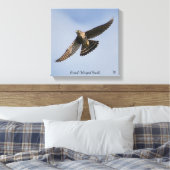 Broad Winged Hawk Leinwanddruck (Insitu (Schlafzimmer))