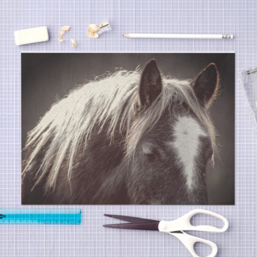 Broadfoot Colt Seidenpapier (Handwerk)