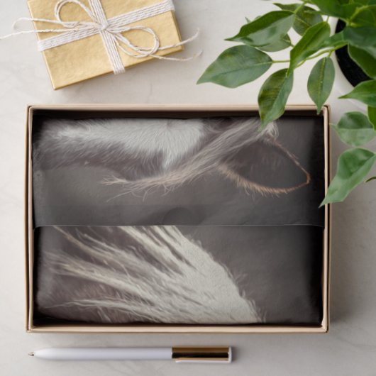 Broadfoot Colt Seidenpapier (Geschenk)