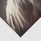 Broadfoot Colt Seidenpapier (Ausschnitt)