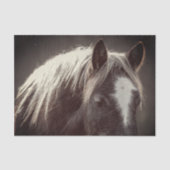 Broadfoot Colt Seidenpapier (Vorderseite)