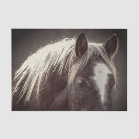 Broadfoot Colt Seidenpapier (Vorderseite)