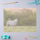 Broadfoot Mare Seidenpapier (Basteln)