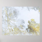 Broadleaf trees reflected on Water Wallpaper Poster (Vorne)