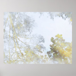 Broadleaf trees reflected on Water Wallpaper Poster