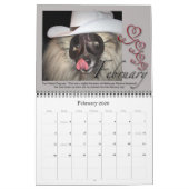 Broadways Hats für Rettungskalender Kalender (Feb 2026)