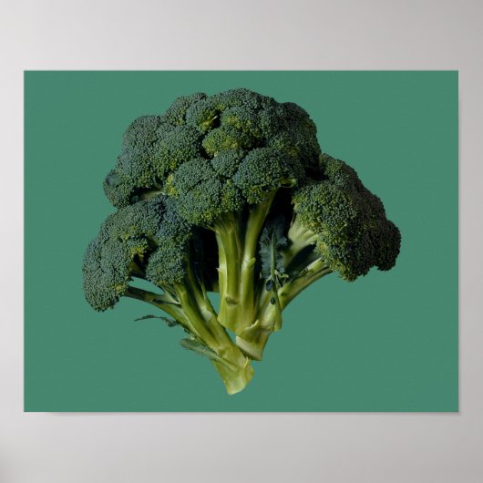 Broccoli 14" x 11", Value Poster Paper (Matte) (Vorne)