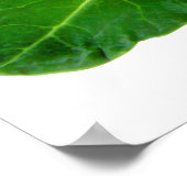 Broccoli 28" x 20", Value Poster Paper (Matte) (Ecke)