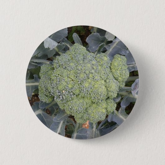 Broccoli Button (Vorderseite)
